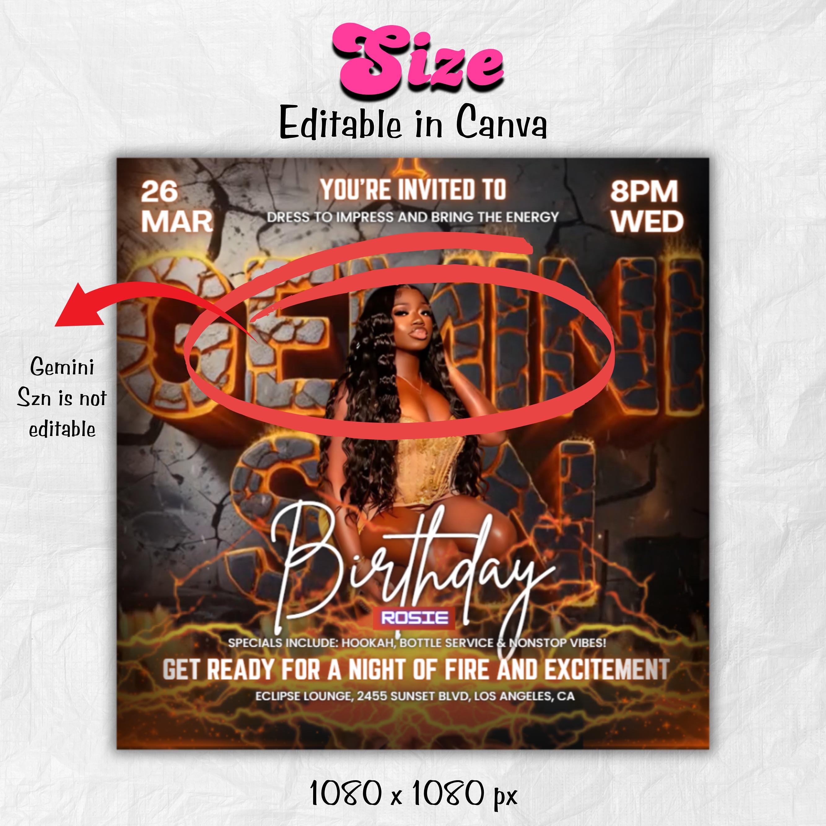 Animated Gemini Season Party Flyer, Birthday Szn Flyer, Gemini Invitation Flyer, Gemini Birthday Event, Social Media Flyer, Premade Flyer