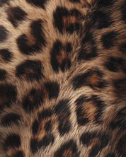 Cheetah Print Galentines Day Party Flyer, Wild Girls Night Party