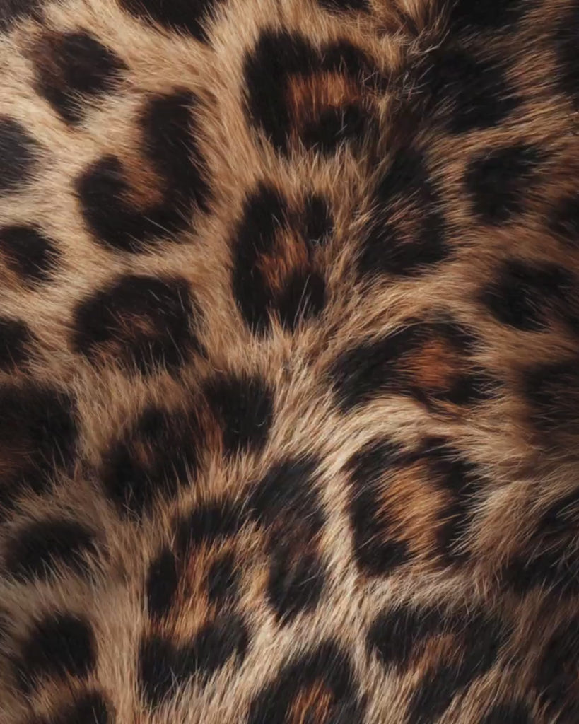 Cheetah Print Galentines Day Party Flyer, Wild Girls Night Party